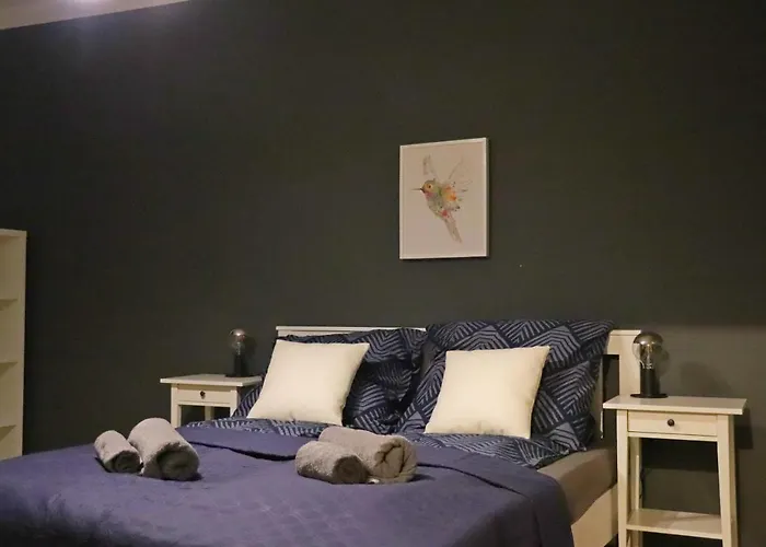 Szeroka View Apartment